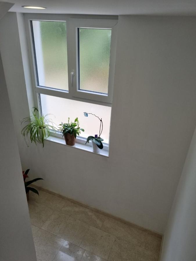 Apartment Tolj *