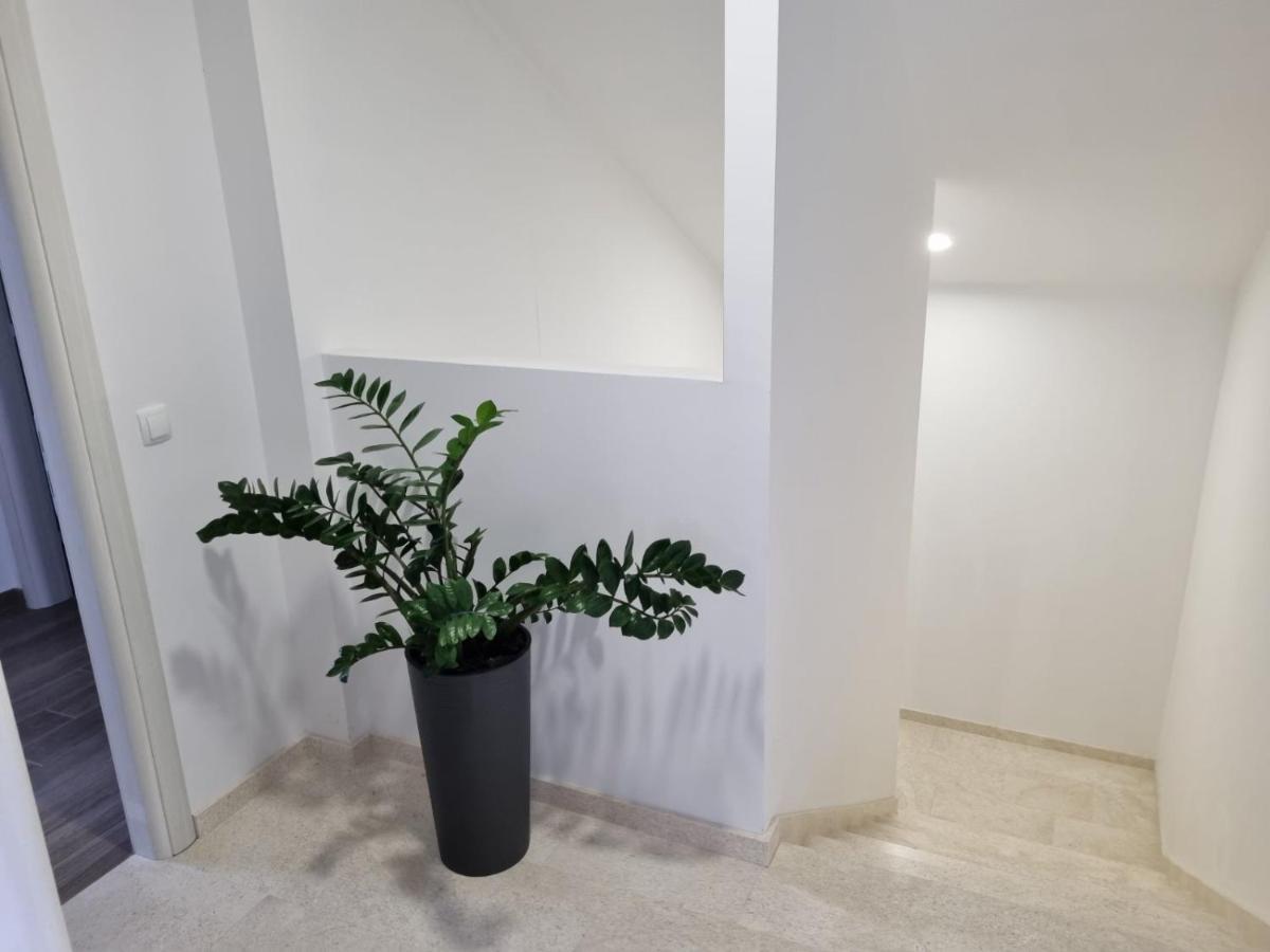 Apartment Tolj *